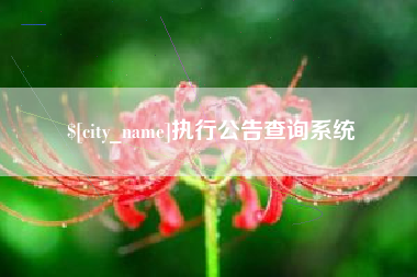 汶上执行公告查询系统
