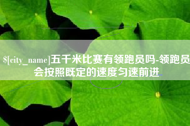 汶上五千米比赛有领跑员吗-领跑员会按照既定的速度匀速前进