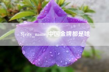 汶上中国金牌都是啥