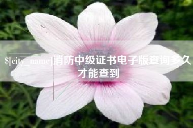 汶上消防中级证书电子版查询多久才能查到