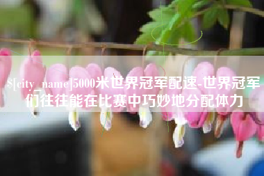 汶上5000米世界冠军配速-世界冠军们往往能在比赛中巧妙地分配体力