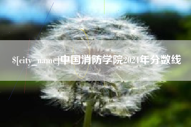 汶上中国消防学院2024年分数线
