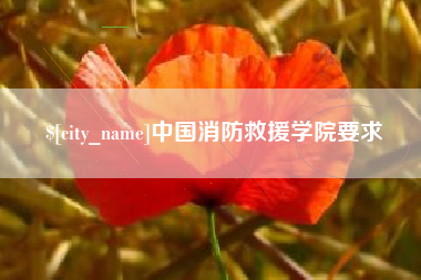 汶上中国消防救援学院要求
