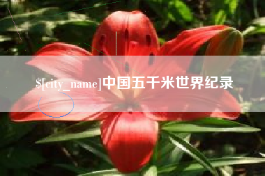 汶上中国五千米世界纪录