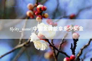 汶上中国金牌能拿多少奖金