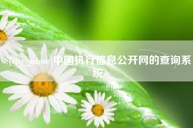 汶上中国执行信息公开网的查询系统