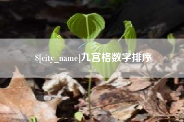 汶上九宫格数字排序