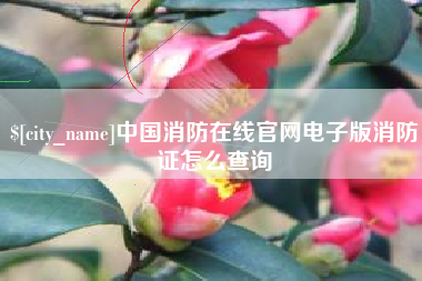 汶上中国消防在线官网电子版消防证怎么查询