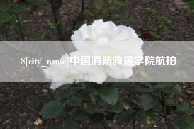 汶上中国消防救援学院航拍