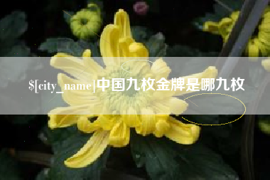 汶上中国九枚金牌是哪九枚