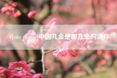 汶上中国九金是哪九金的简称