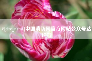 汶上中国消防网官方网站公众号达伦特