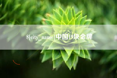 汶上中国19块金牌