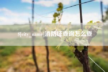 汶上消防证查询怎么查