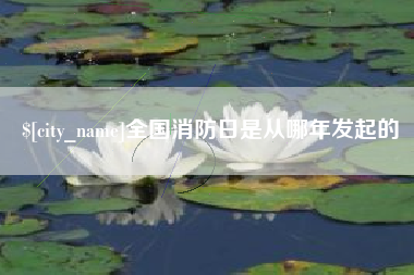 汶上全国消防日是从哪年发起的