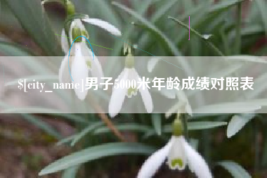 汶上男子5000米年龄成绩对照表