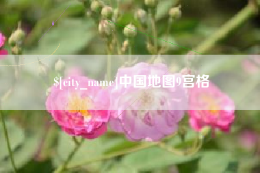 汶上中国地图9宫格