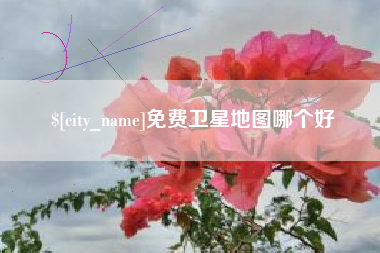 汶上免费卫星地图哪个好