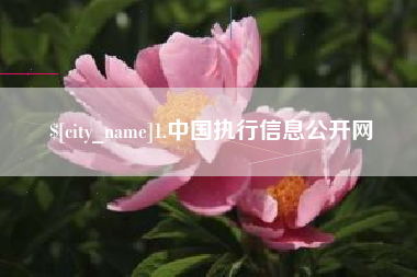 汶上1.中国执行信息公开网