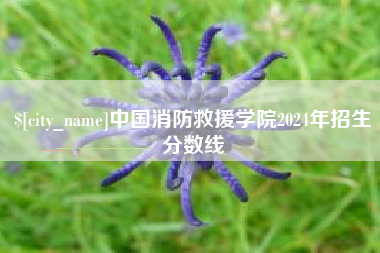 汶上中国消防救援学院2024年招生分数线