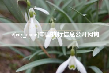 汶上中国执行信息公开网询