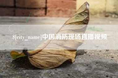 汶上中国消防现场直播视频