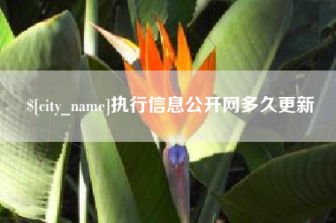 汶上执行信息公开网多久更新