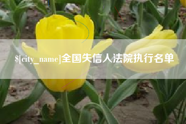 汶上全国失信人法院执行名单