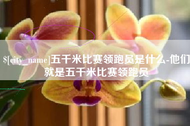 汶上五千米比赛领跑员是什么-他们就是五千米比赛领跑员