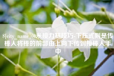 汶上60米接力赛技巧-下压式则是传棒人将棒的前部由上向下传到接棒人手中