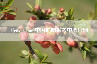 汶上中国消防报考中心官网