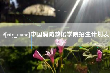 汶上中国消防救援学院招生计划表
