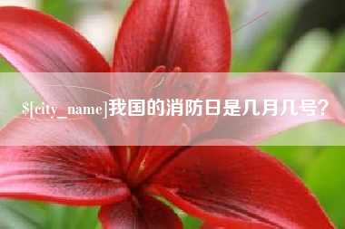 汶上我国的消防日是几月几号？
