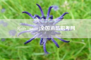 汶上全国消防招考网