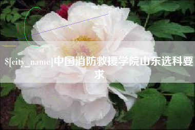 汶上中国消防救援学院山东选科要求
