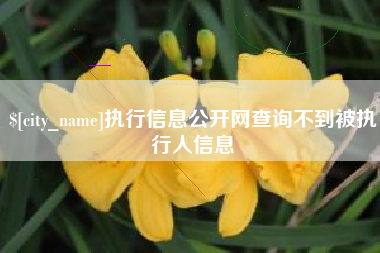 汶上执行信息公开网查询不到被执行人信息