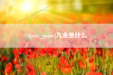 汶上九金是什么