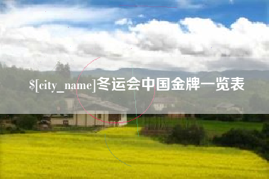 汶上冬运会中国金牌一览表