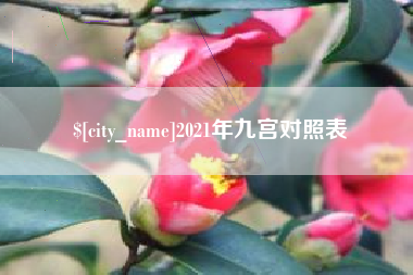 汶上2021年九宫对照表