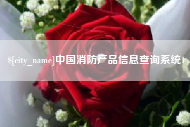汶上中国消防产品信息查询系统1