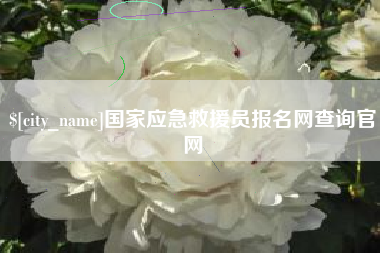 汶上国家应急救援员报名网查询官网