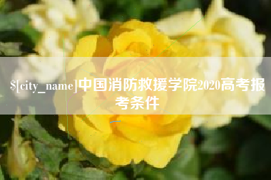 汶上中国消防救援学院2020高考报考条件