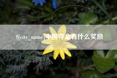 汶上中国夺金有什么奖励