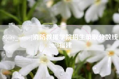 汶上消防救援学院招生录取分数线2020福建