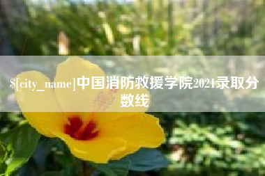 汶上中国消防救援学院2021录取分数线