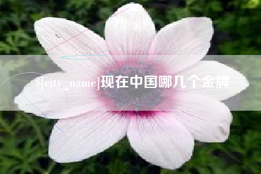 汶上现在中国哪几个金牌