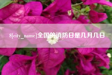 汶上全国的消防日是几月几日