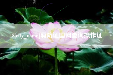 汶上消防证国网查询操作证