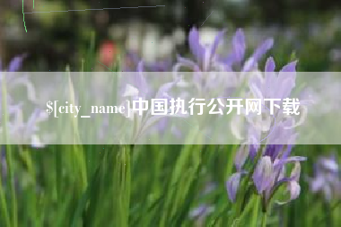 汶上中国执行公开网下载