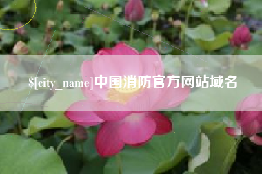 汶上中国消防官方网站域名
